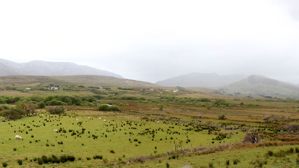Irlande Tour